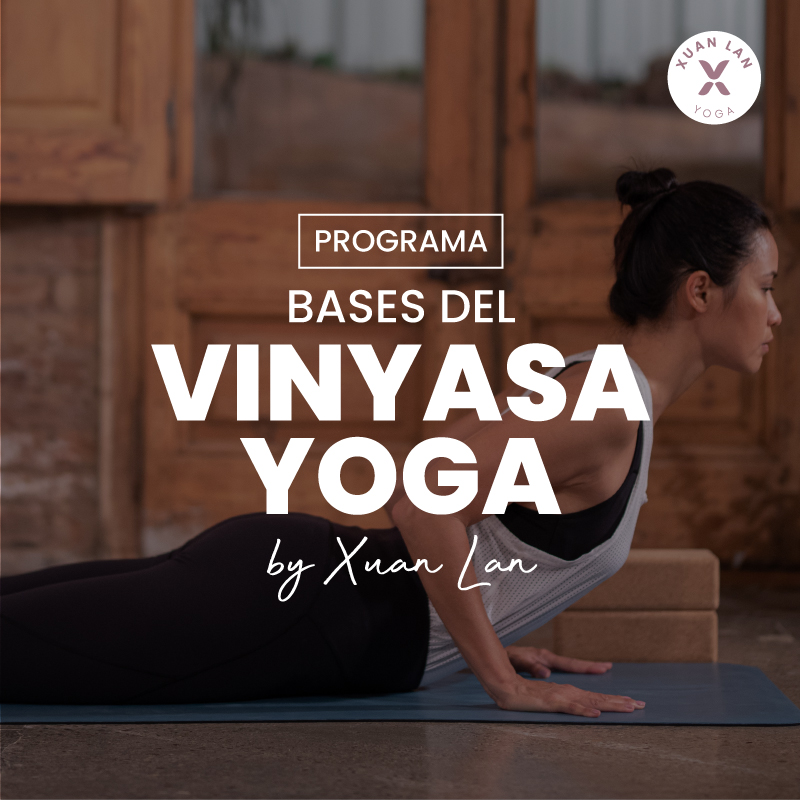 XLY-programas-vinyasa-insta